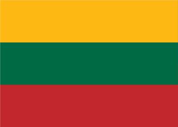 2008 Elections Intended In Lithuania