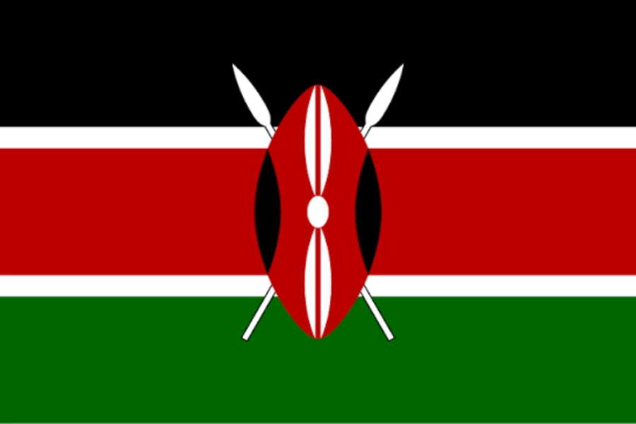 Small Bottle, Big Role: 28ml Election Ink for Kenya Voting